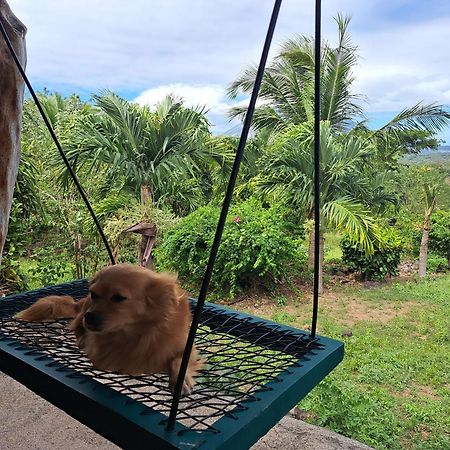 Hostel Santa Cruz Ometepe Altagracia Dış mekan fotoğraf